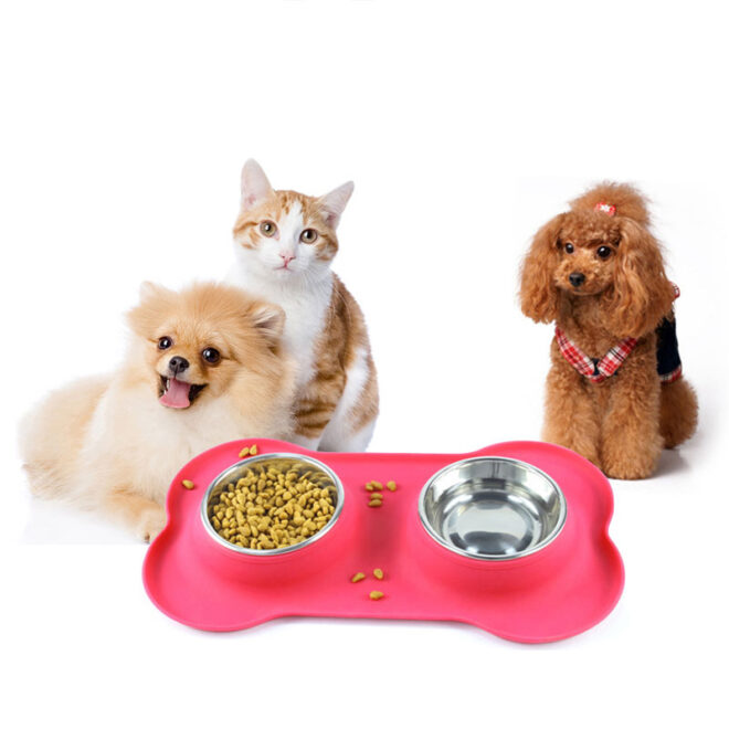 Pet Bowl - Image 5